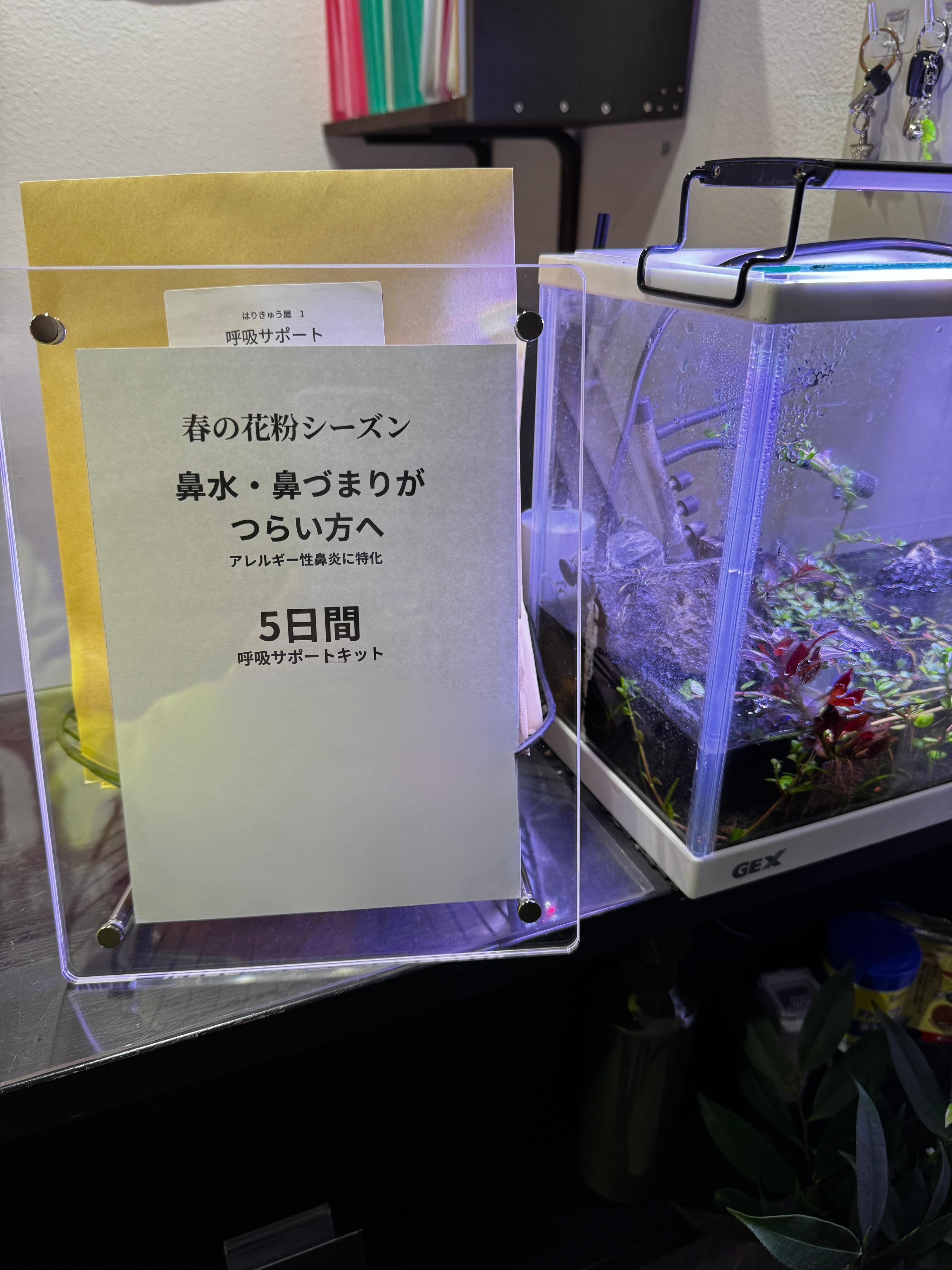 3f168cac-7779-4db6-a698-38ce425fc79c